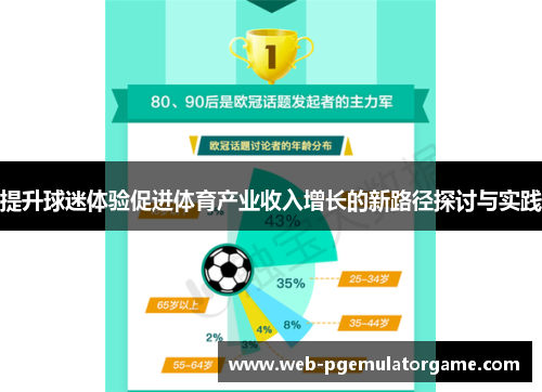 提升球迷体验促进体育产业收入增长的新路径探讨与实践