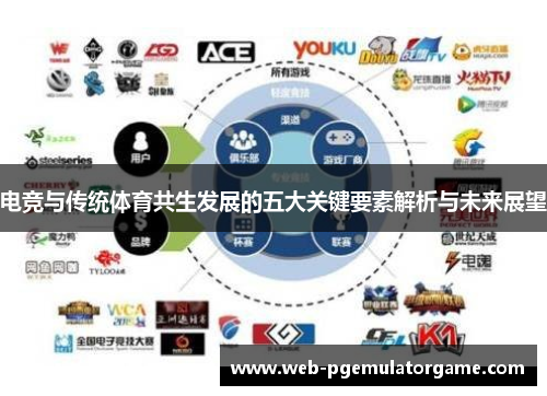 电竞与传统体育共生发展的五大关键要素解析与未来展望