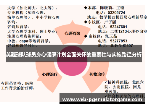 英超球队球员身心健康计划全面关怀的重要性与实施路径分析