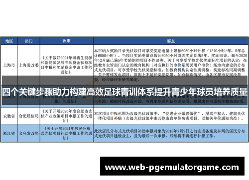 四个关键步骤助力构建高效足球青训体系提升青少年球员培养质量