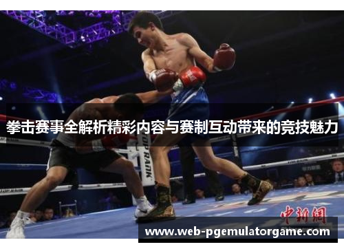 拳击赛事全解析精彩内容与赛制互动带来的竞技魅力