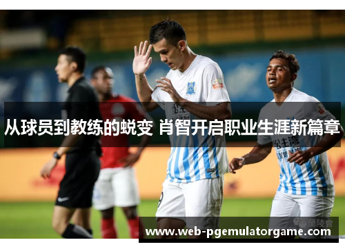 从球员到教练的蜕变 肖智开启职业生涯新篇章