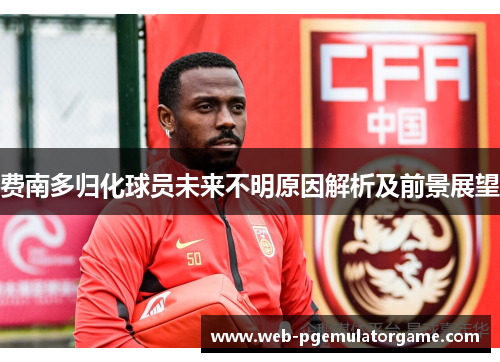 费南多归化球员未来不明原因解析及前景展望
