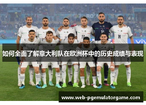 如何全面了解意大利队在欧洲杯中的历史成绩与表现