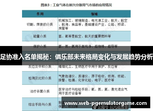 足协准入名单揭秘：俱乐部未来格局变化与发展趋势分析