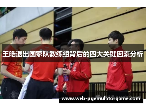 王皓退出国家队教练组背后的四大关键因素分析