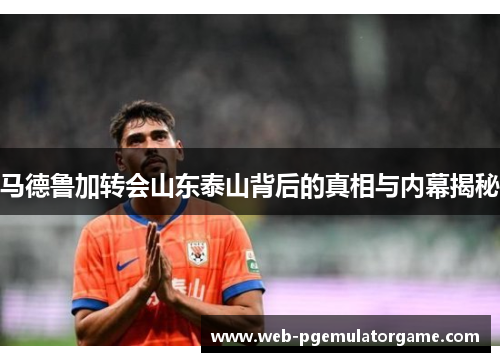 马德鲁加转会山东泰山背后的真相与内幕揭秘