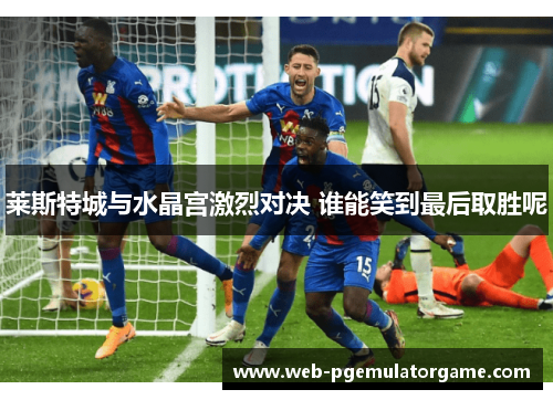莱斯特城与水晶宫激烈对决 谁能笑到最后取胜呢