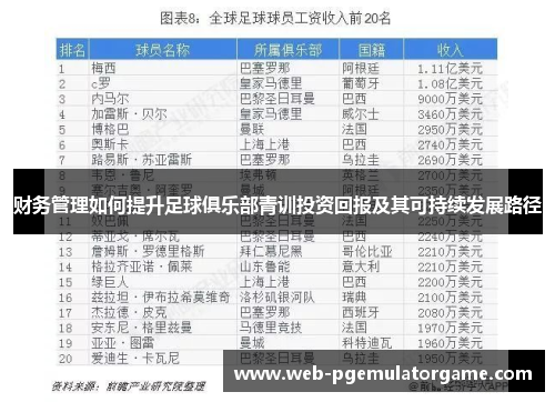 财务管理如何提升足球俱乐部青训投资回报及其可持续发展路径