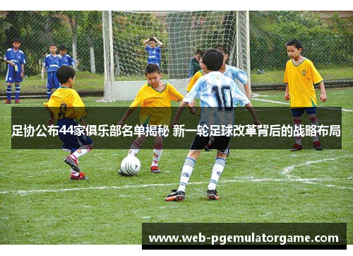 足协公布44家俱乐部名单揭秘 新一轮足球改革背后的战略布局