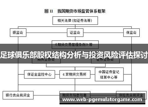 足球俱乐部股权结构分析与投资风险评估探讨