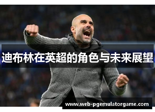 迪布林在英超的角色与未来展望 迪布林在英超的角色与未来展望