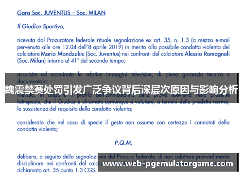 魏震禁赛处罚引发广泛争议背后深层次原因与影响分析
