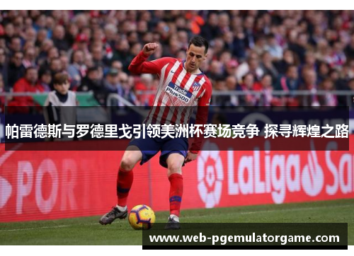 帕雷德斯与罗德里戈引领美洲杯赛场竞争 探寻辉煌之路