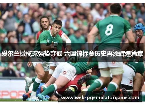 爱尔兰橄榄球强势夺冠 六国锦标赛历史再添辉煌篇章