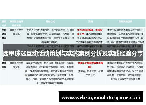西甲球迷互动活动策划与实施案例分析及实践经验分享