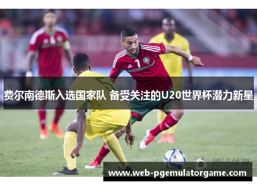 费尔南德斯入选国家队 备受关注的U20世界杯潜力新星